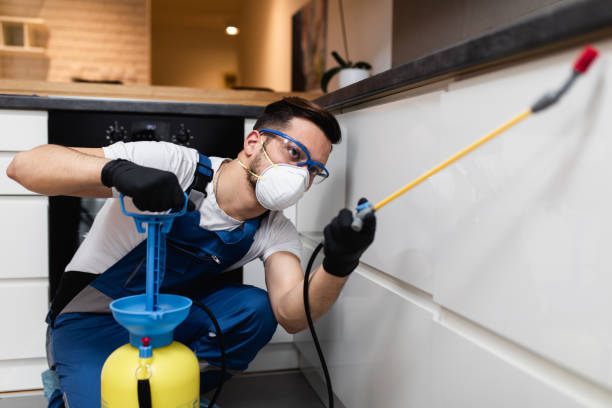 Best Affordable Pest Control Services  in Sparrow Bush, NY