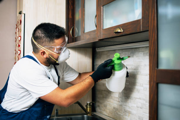 Best Termite Control Services  in Sparrow Bush, NY