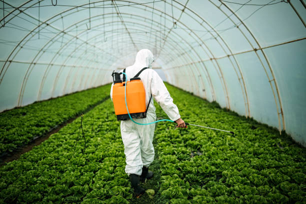 Best Best Pest Control Companies  in Sparrow Bush, NY