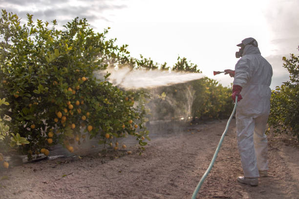 Best Wildlife Control Services  in Sparrow Bush, NY