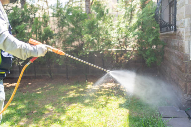 Flea Control Services in Sparrow Bush, NY