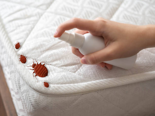 Best Ant Control Services  in Sparrow Bush, NY