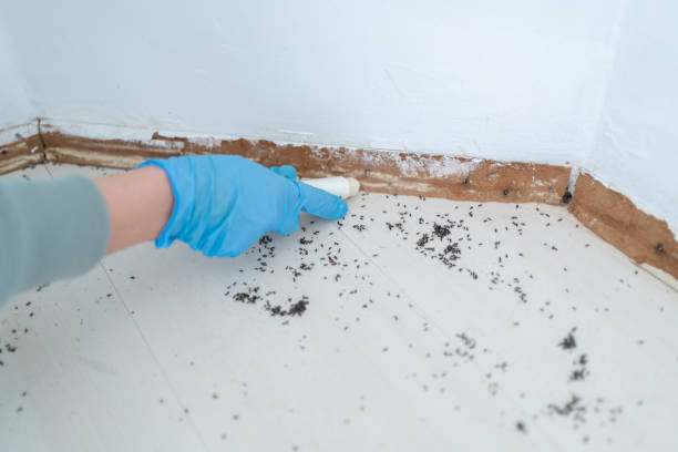 Best Exterminator Services  in Sparrow Bush, NY