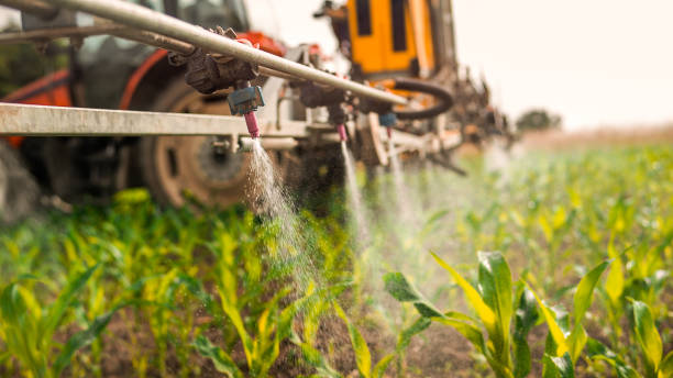 Best Best Pest Control Companies  in Sparrow Bush, NY